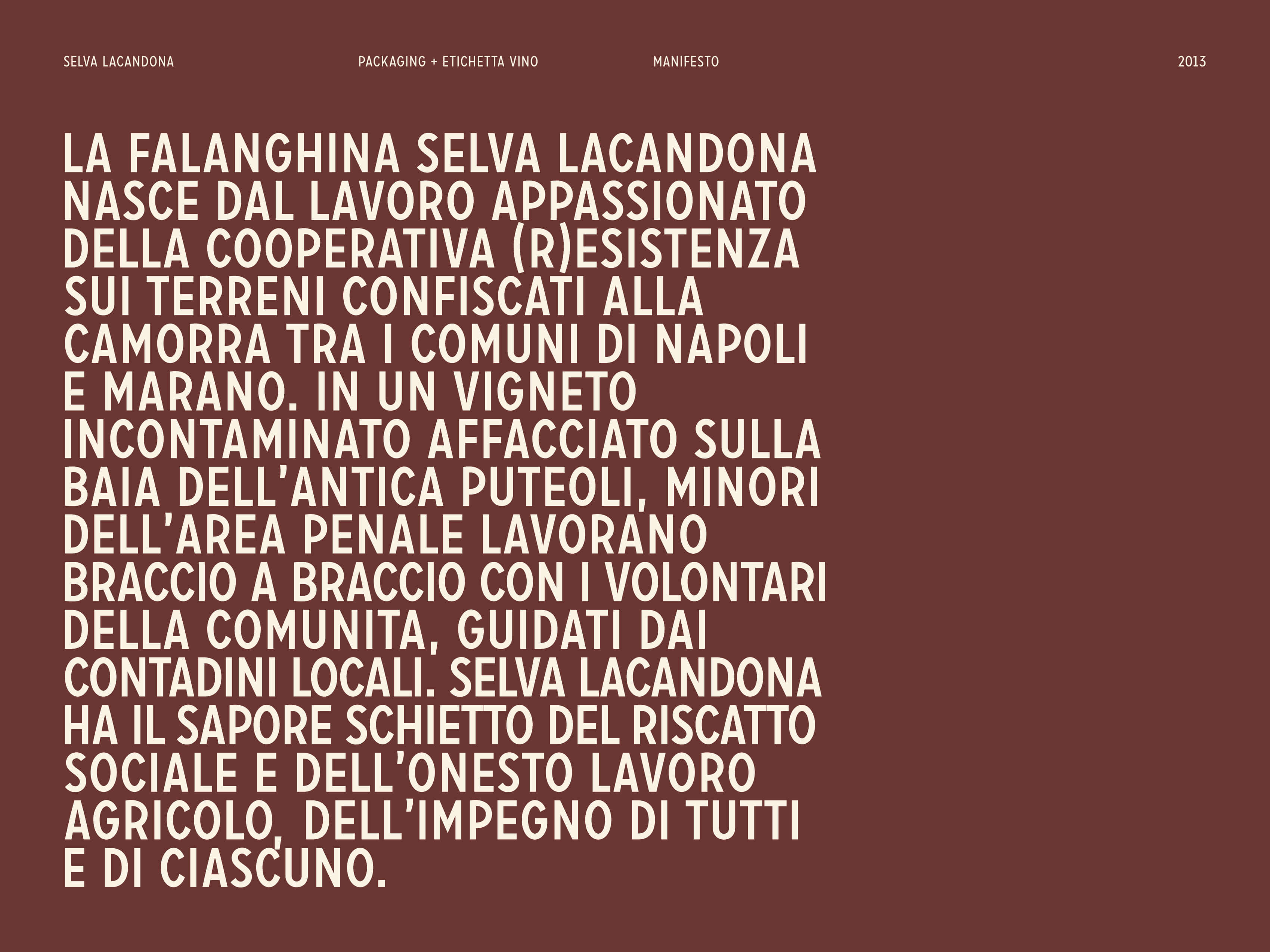 Manifesto del progetto Selva Lacandona
