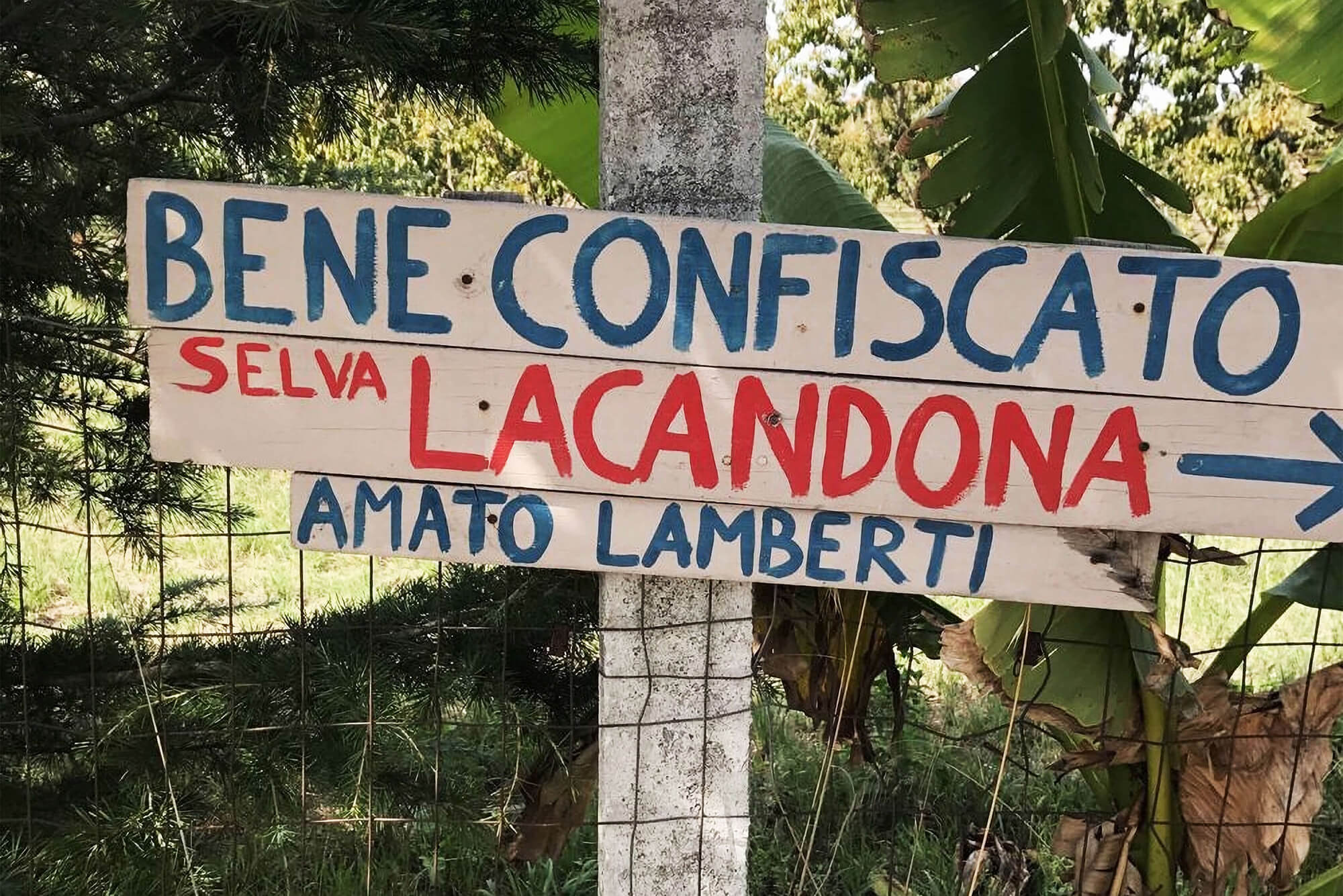 Cartello per indicare il bene confiscato Amato Lamberti dove si produce la Falanghina Selva Lacandona