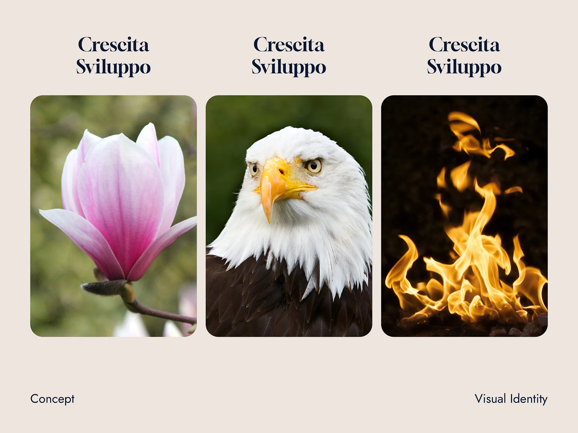 Three panels labeled 'Crescita Sviluppo' showing a pink magnolia flower, a close-up of a bald eagle's head, and yellow flames against a dark background.